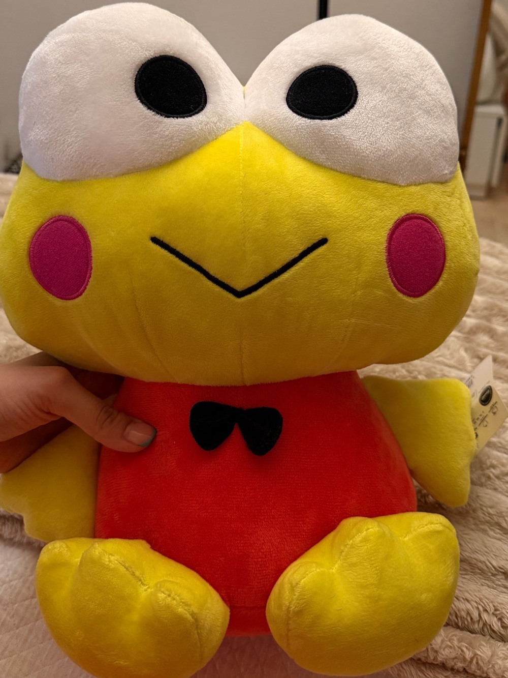 Keroppi Plushie
